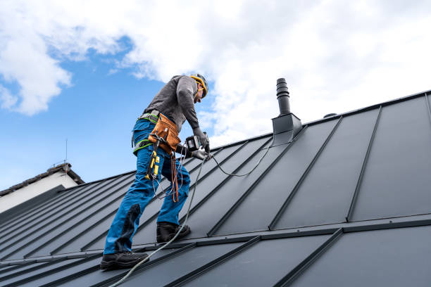 Best Sheet Metal Roofing  in Parowan, UT